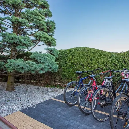 Basia Проживание в семье Дзивновек